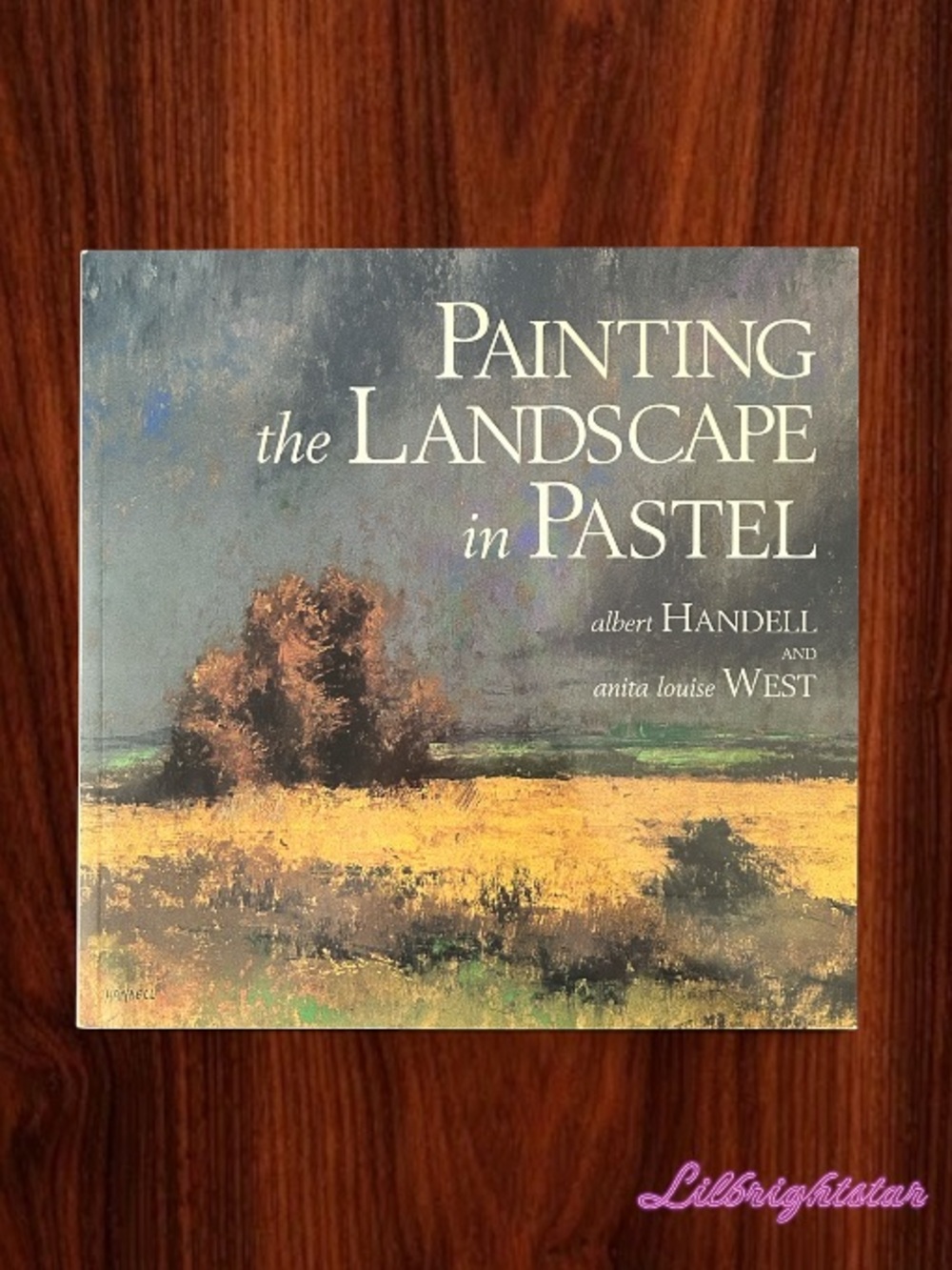 🎨 Painting The Landscape In Pastel By Albert Handell Paperback NWT